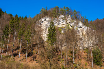 Typical rock formation in the Wiesent Valley in Franconian Switzerland/Germany on a sunny spring day