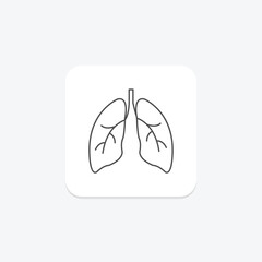 Lungs grey thin line icon , vector, pixel perfect, illustrator file