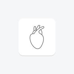 Heart Organ grey thin line icon , vector, pixel perfect, illustrator file