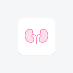 Kidney color outline icon , vector, pixel perfect, illustrator file