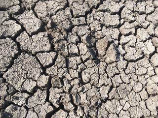 dry cracked ground texture background