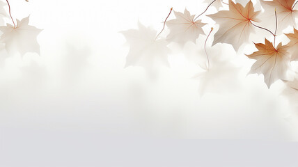 white background with copy space autumn leaves translucent sepia.