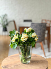 white and yellow daffodil flowers in a vase in living room