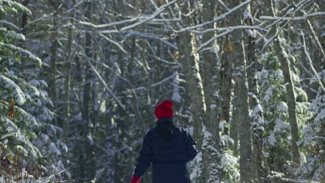 Women walking in snow path gloing winter snow covered forest