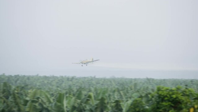 A Low-Flying Airplane Spraying A Pesticide Over The Trees Of A Banana
