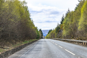 A Peaceful Drive Through the Lush Green Forest