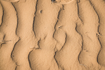 Texture of sand in the hot summer desert of Kyzylkum in Uzbekistan on a summer day
