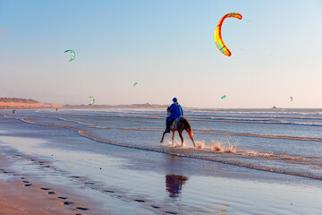 Brown arabian horse running with a rider in the Atlantic ocean -  Kitesurfers on the Essaouira...