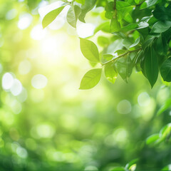 Fototapeta na wymiar Nature view of green leaf on blurred greenery
