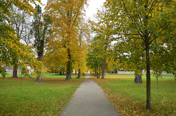 Kromsdorf castle park in atumn season with yellow foliage on the trees
