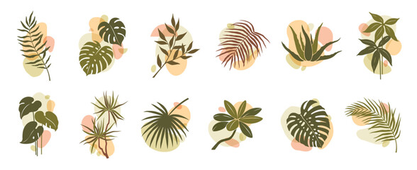 Abstract organic boho leaf and plant shapes. Isolated vector set of lush foliage, palm trees or monstera decorative elements, embracing a boho-chic aesthetic, evoke natural vibe in bohemian style