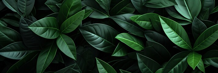 Captivating arrangement of tropical leaves for a captivating leaf background with ample copy space.