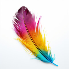 Vibrant Colorful single bird feathers on a white background