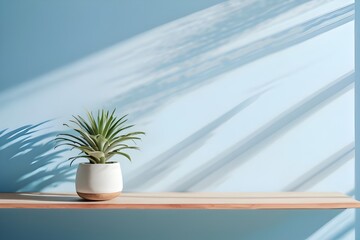 Minimal cozy mockup design for product presentation with a plant in tub against blue wall