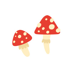 Poisonous toxic mushroom. Amanita muscaria botanical, witchcraft tools cartoon vector illustration