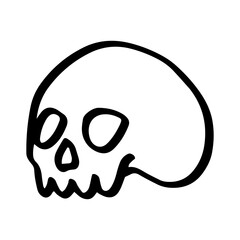 skull head hand drawn illustration