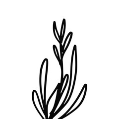 illustration of a flower