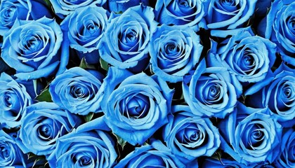  a bunch of blue roses that are very close together in a close up view of the center of the picture and the center of the flowers in the middle of the picture.