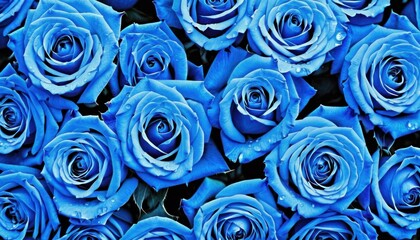  a bunch of blue roses with drops of water on them in a close up view of a bunch of blue roses with drops of water on them in a close up close up view.