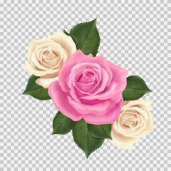 Beautiful realistic PNG with two white roses and one a pink rose. 