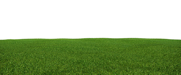 Field of grass on transparent background. 3D rendering