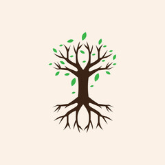  tree vectors. Forest and nature concept. Collection of different tree symbols. Education and training poster design.