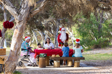 family enjoying Christmas lunch in a shady seaside park