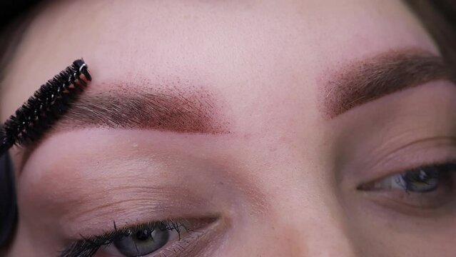 Close-up of eyebrows on which permanent eyebrow makeup is performed, combing eyebrow hairs with a brush. Permanent makeup procedure, performing PMU of eyebrows