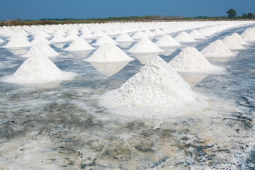 a salt farm or salt pan, is an area where salt is harvested from seawater or saline lakes through the process of salt evaporation.