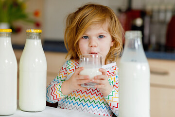 Adorable toddler girl drinking cow milk for breakfast. Cute baby daughter with lots of bottles....