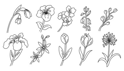 set of doodle spring flower line art