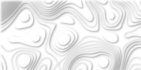 : white paper and relief wave and cruve line paper cut background. soft white color seamless pattern, vector illustration, multi layer cutout banner design. topo counter map in 3d view.