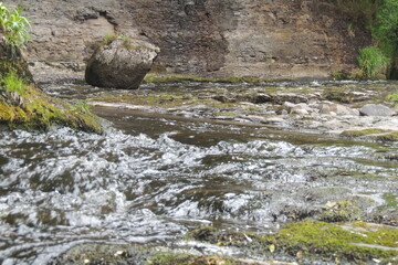 A walk into the forest of aberdulais with weird plants and spectacular waterfall