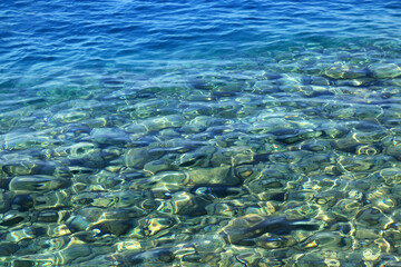 Abstract nature background. Backdrop. Wallpaper of little pebbles or stones in sea water. Pebbles under water. Nautical background. Clean sea water. Transparent sea. Beach summer background.