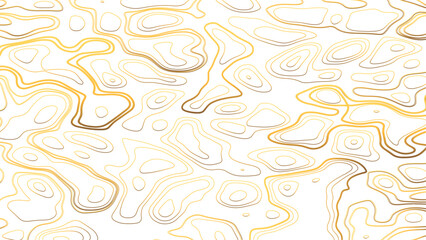 Vector topographic map background. Business concept. Abstract vector illustration