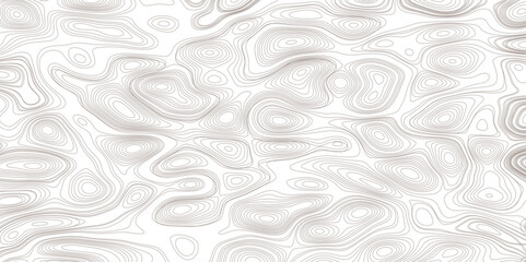Topographic map lines background. Abstract vector illustration.
