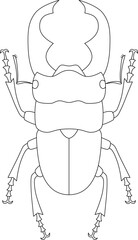 線画昆虫単品アイコン　クワガタ