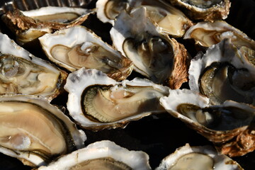 huitres