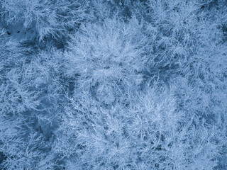 Aerial view of winter landscape with snow covered forest in Switzerland, Europe.