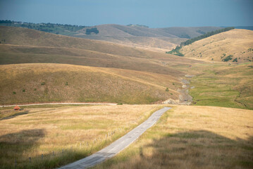 Narrow road in the dry yellowish hills of Zlatibor region, Serbia