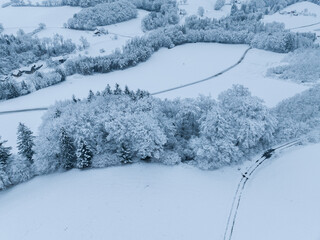 Aerial view of winter landscape with snow covered forest in Switzerland, Europe.