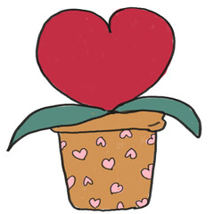 heart plant