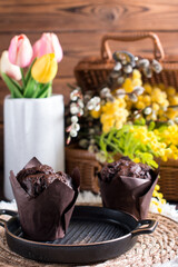 Cupcake muffin with chocolate on a white background with a bouquet of mimosa. Congratulations on International Women's Day, postcard