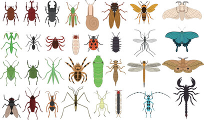 標本風カラー昆虫アイコンセット © nissat