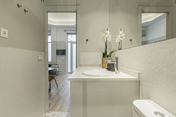 A modern design bathroom with an integrated mirror covering the entire wall