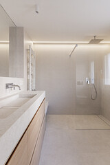 Modern design bathroom with oak wood furniture