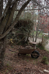 bench in the forest