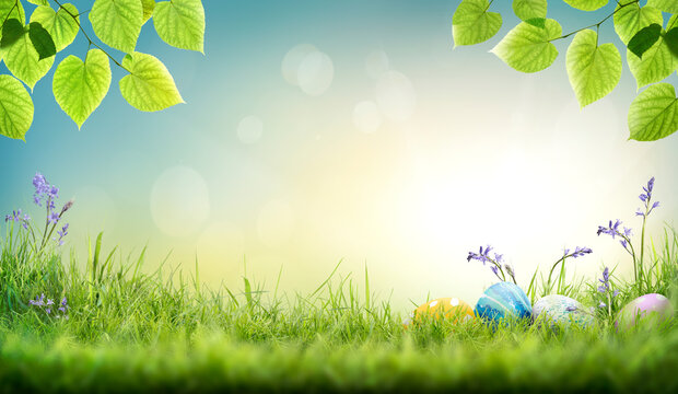 Three painted easter eggs in a birds nest celebrating a Happy Easter on a spring day with a green grass meadow, tree leaves and blurred grass foreground and bright sunlight background with copy space.