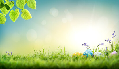 Three painted easter eggs in the grass and bluebells celebrating a Happy Easter on a spring day with a green grass meadow, tree leaves and blurred grass foreground and bright sunlight background
