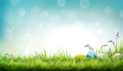 Obraz premium Painted easter eggs in the grass and bluebells celebrating a Happy Easter on a spring day with a green grass meadow and blurred grass foreground and bright blue sunlight background with copy space.
